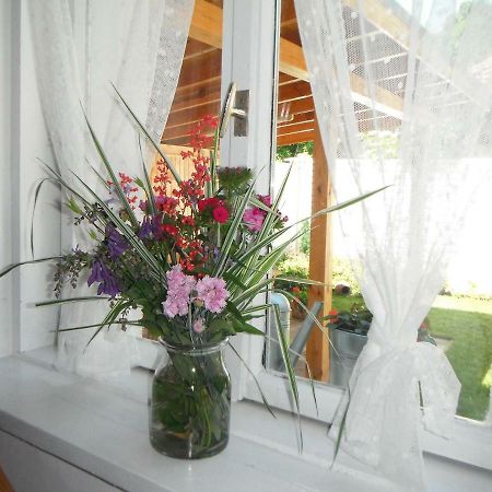 Villa Ani Gorna Kovachitsa Ngoại thất bức ảnh