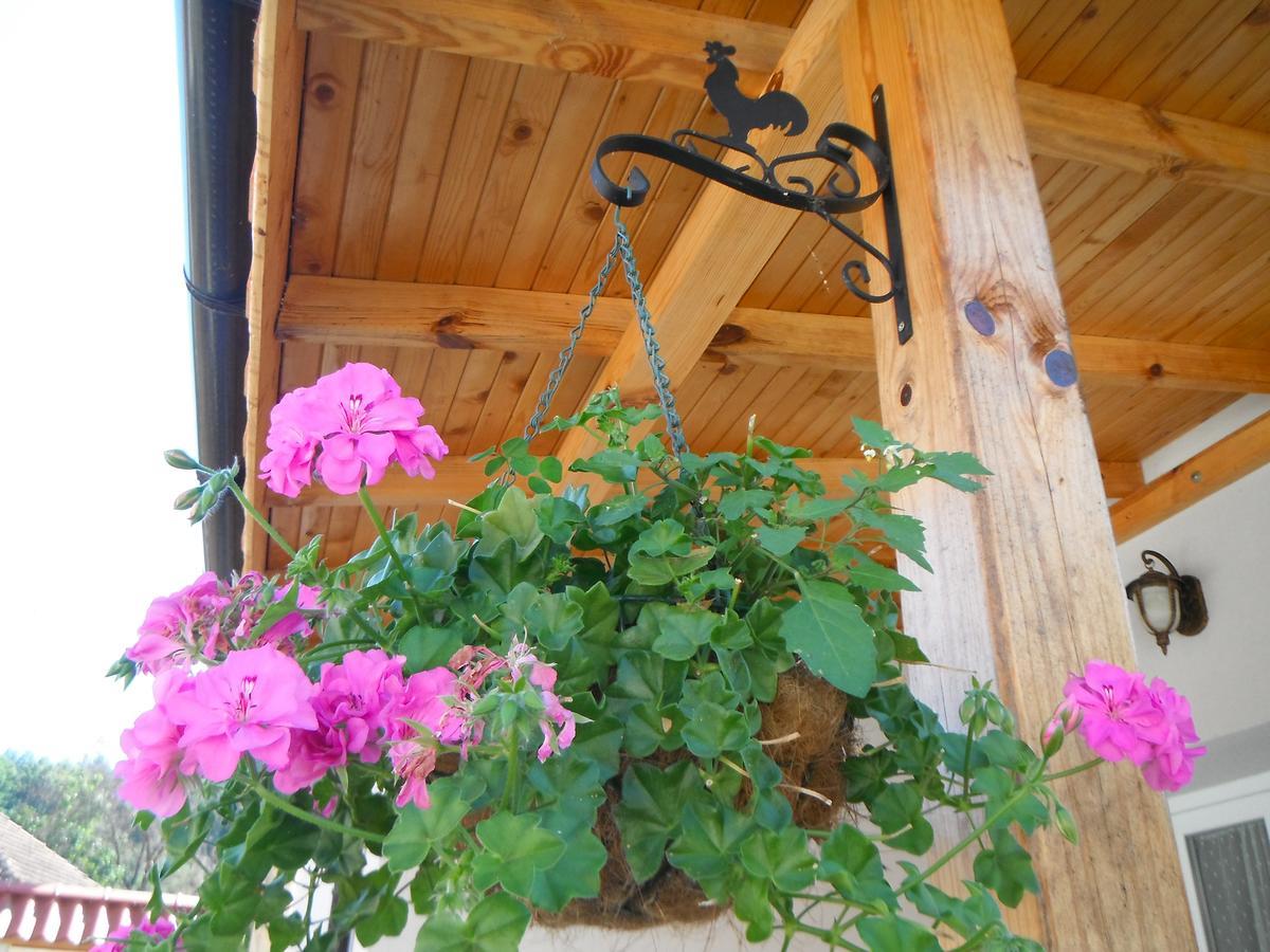 Villa Ani Gorna Kovachitsa Ngoại thất bức ảnh