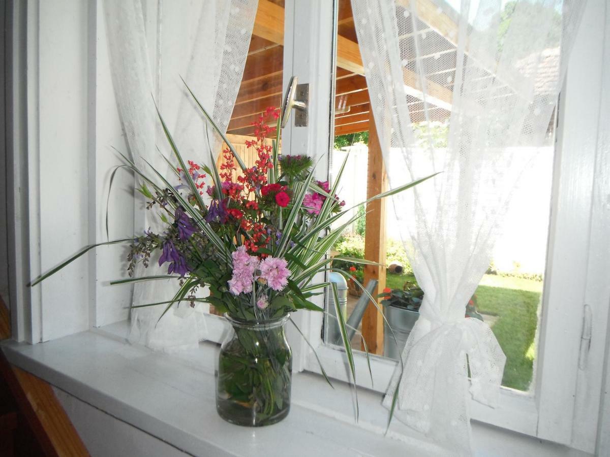 Villa Ani Gorna Kovachitsa Ngoại thất bức ảnh